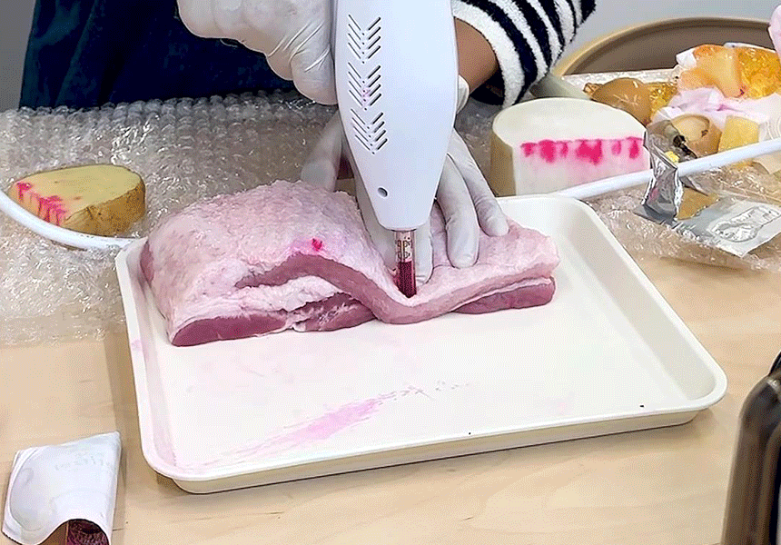 샤랩스 스킨젝 SHA-1000 | 홈케어 뷰티디바이스